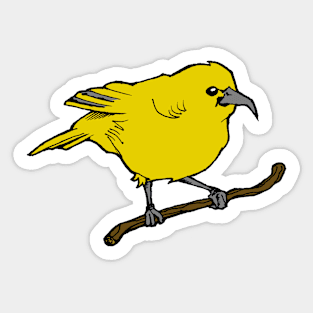 Hawaiian ʻAmakihi Bird Sticker